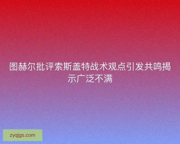 图赫尔批评索斯盖特战术观点引发共鸣揭示广泛不满